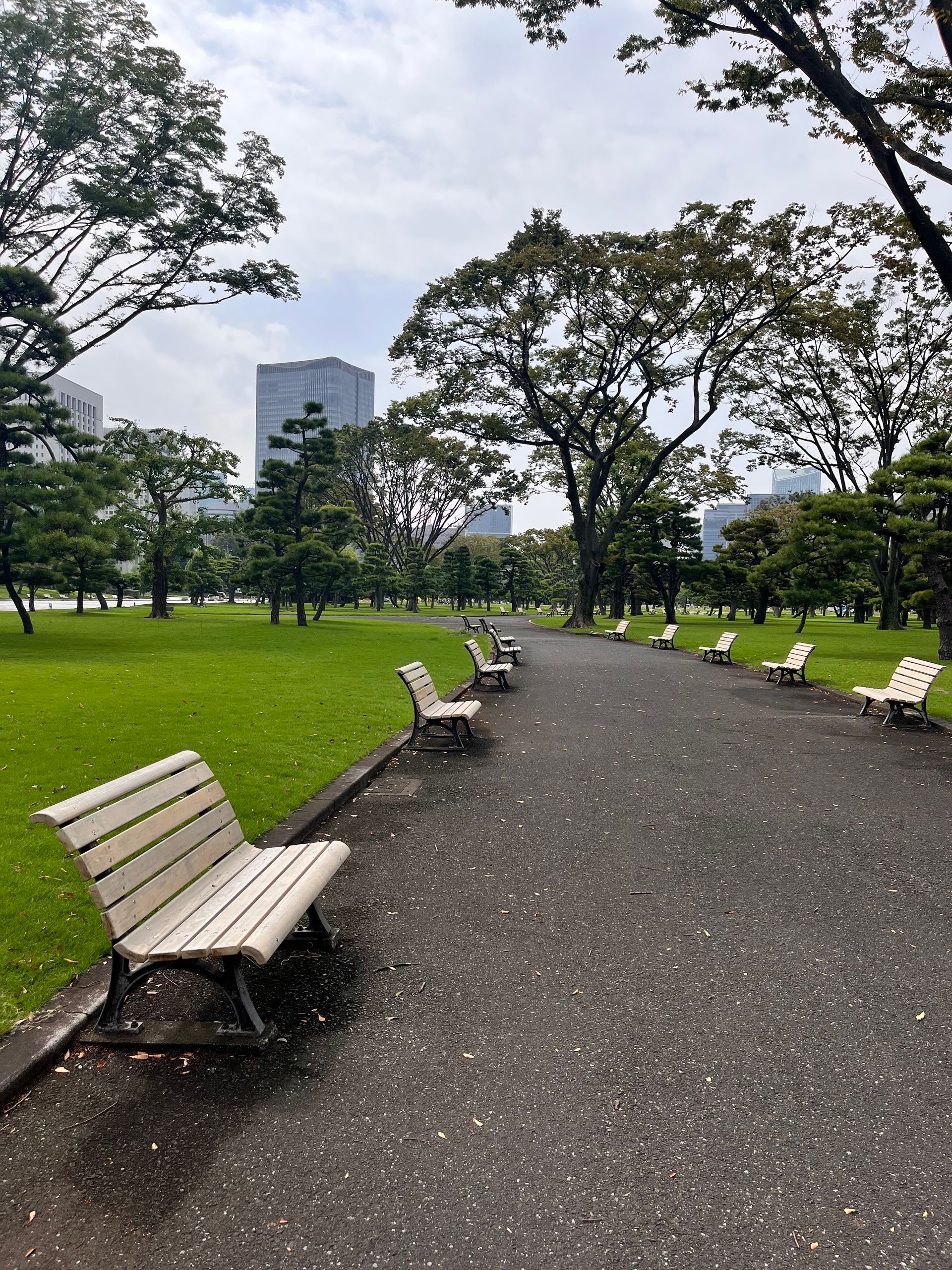 Park benches along a paved path
