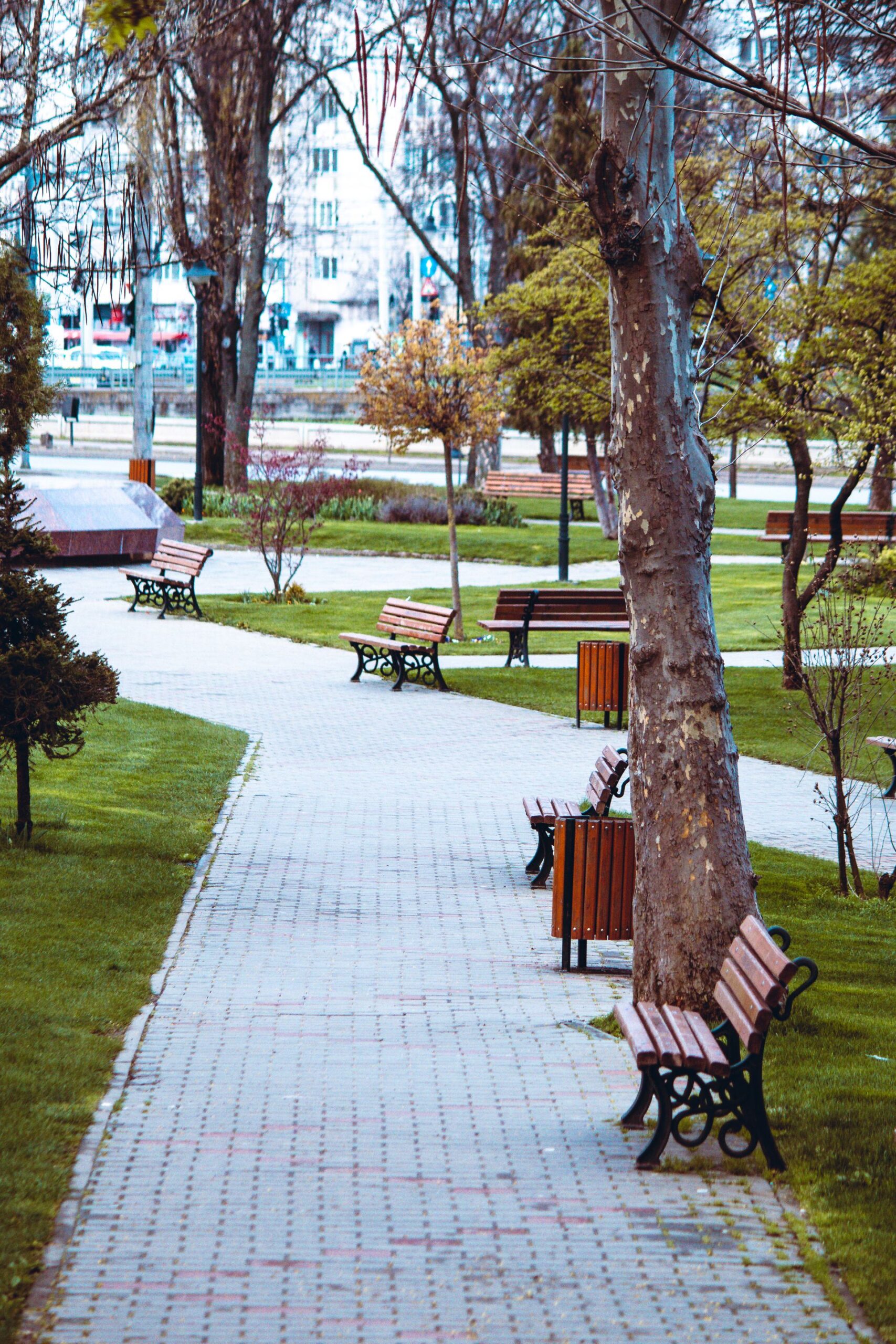 Benches and waste receptacles in a landscaped park